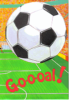 Fuballbuch GOOOAL !